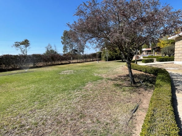 d09141ee-0511-49f3-b89d-4bb946fdb403