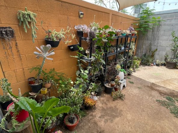 81ad0f1d-fc94-43e4-8d78-24cab0ad09aa