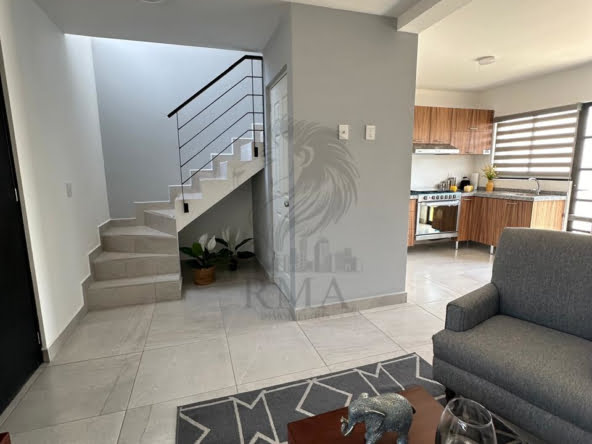 ce73abe3-e945-4a50-90c7-7ad0ad8dd000