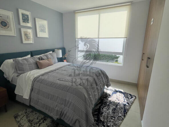 355ee8c6-77e1-46a1-a2cd-8137a9bfee92