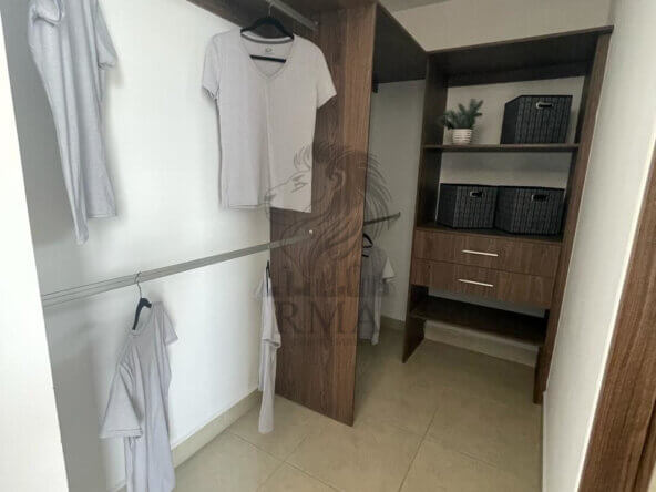 6e81e05d-9b29-42e5-b4ef-fc019278800a