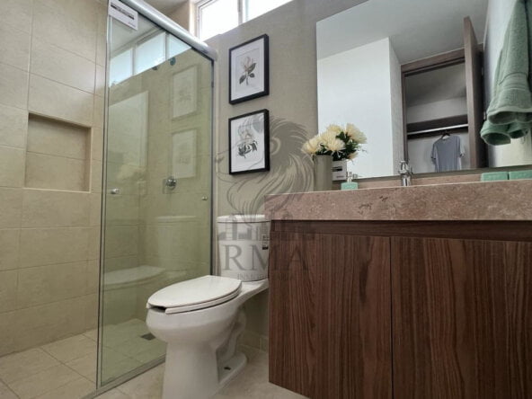 97c99fdc-f151-4dc5-b782-3cecf6088541