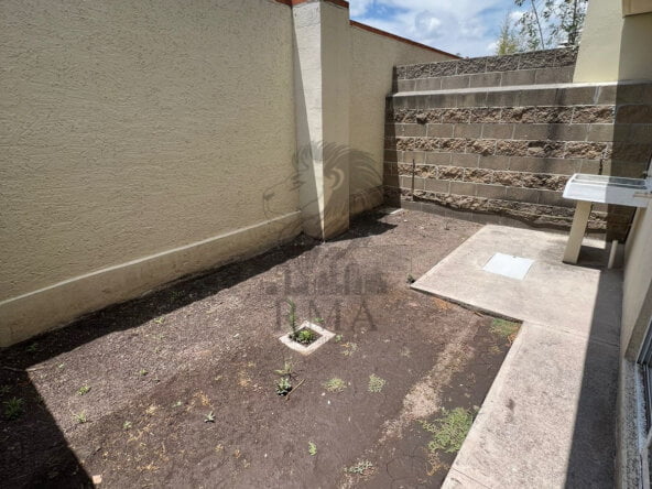 WhatsApp Image 2023-04-13 at 1.42.00 PM (1)