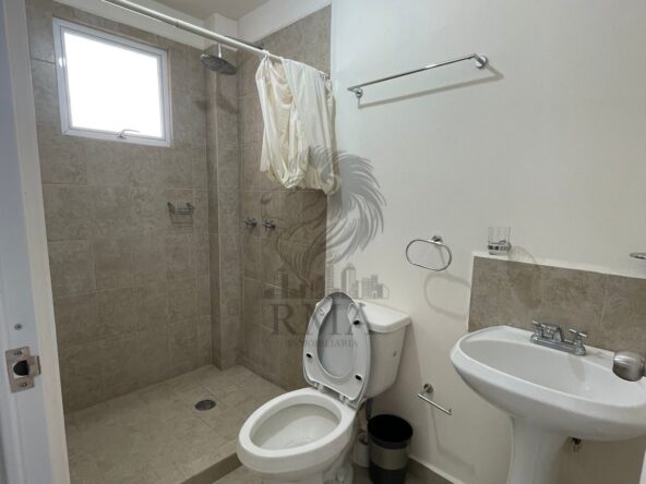 29569f16-ef03-450d-97f8-7ae915ccc764