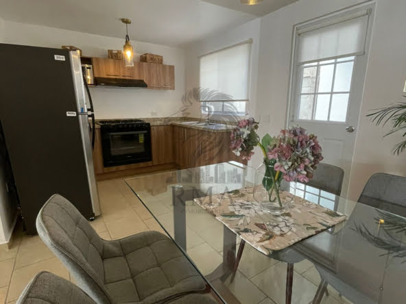 c513c280-a12c-47b3-bbb8-0a18b7fc7206