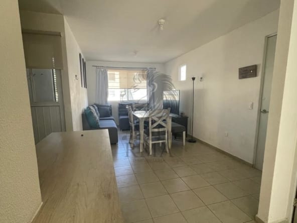 WhatsApp Image 2024-11-23 at 11.56.26 (12)