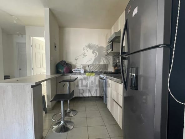 WhatsApp Image 2024-11-23 at 11.56.26 (3)