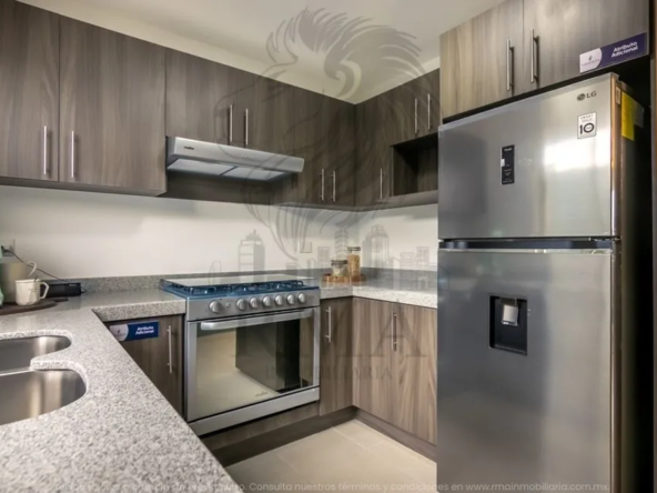 VALENCIA-PINO- MARQUÉS- RMA INMOBILIARIA (12)