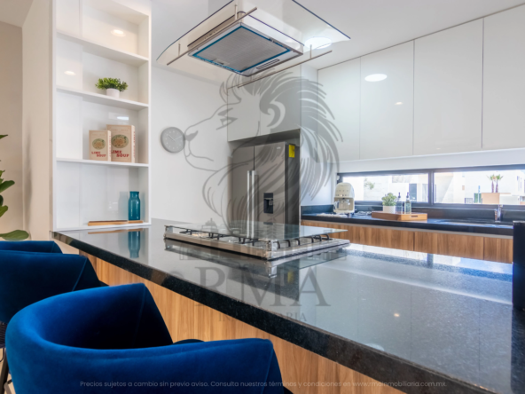 ZARÚ-ACACIA-EL MARQUÉS RMA INMOBILIARIA (12)